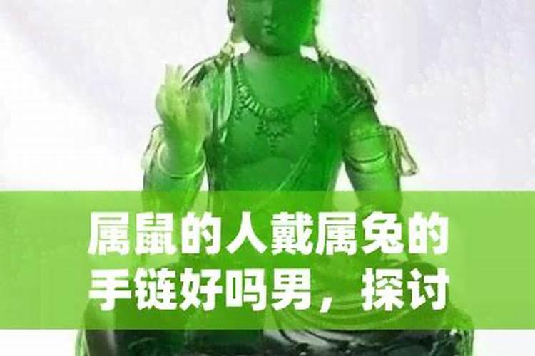 属兔佩戴鼠的吊坠适合吗