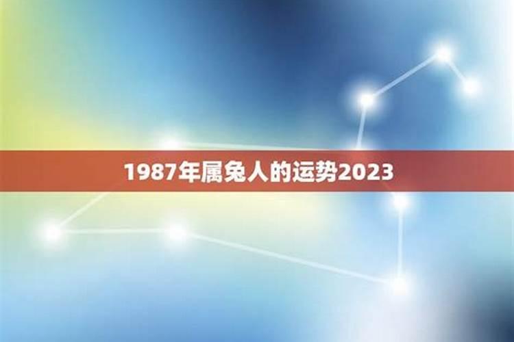 1987年属兔人在2023年运势