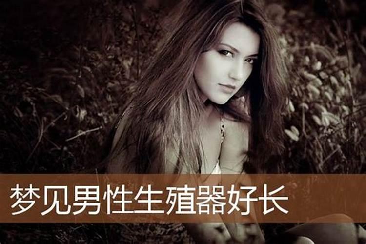 梦见男人女人什么意思