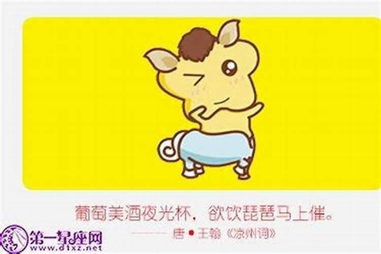 属马的生属猪宝宝好不好