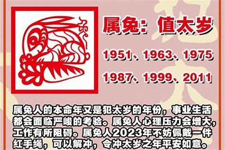 属虎的2021年运城