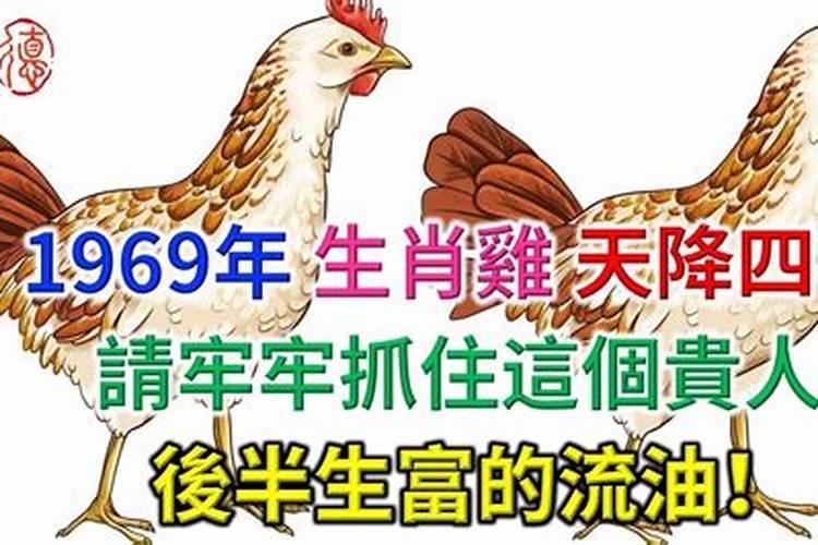 1969鸡人一生运势