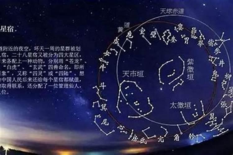 太岁星是什么命运