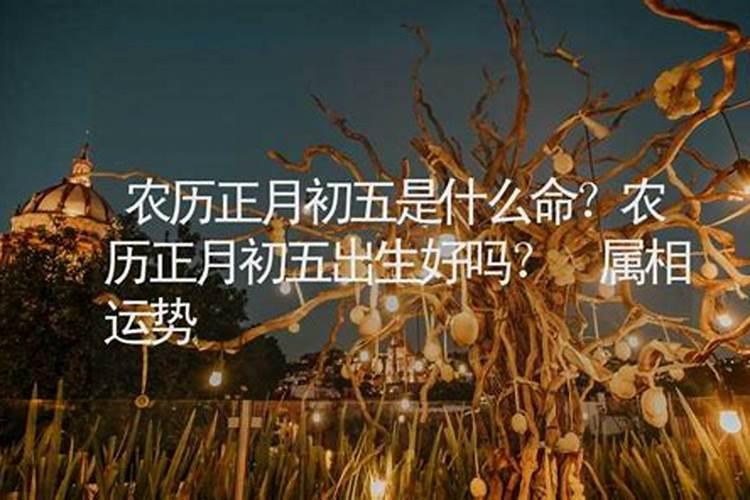 属牛的正月初一什么命