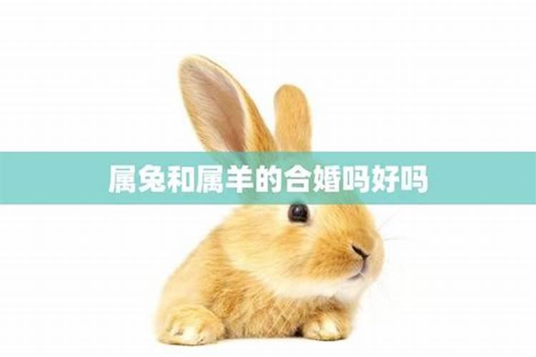 塔罗牌占卜天秤座2021年4月感情运势