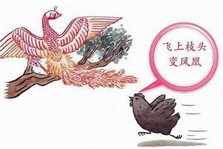 属鸡人生于什么月好