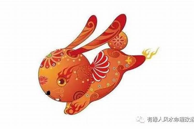 87兔子今年运势如何