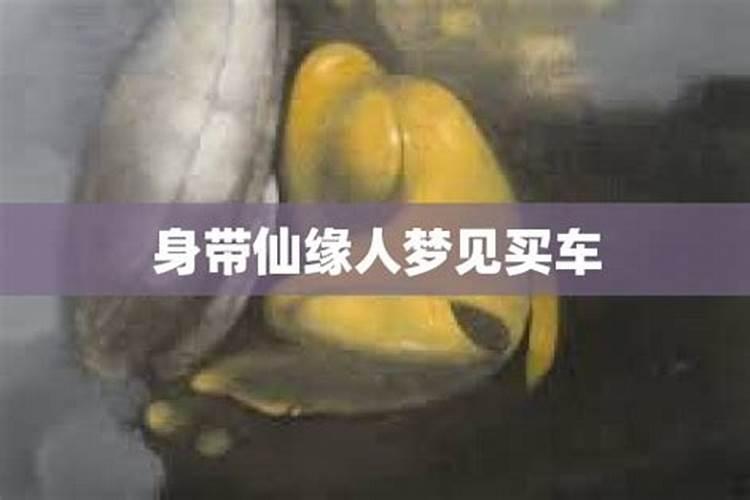 带仙缘梦见买衣服没有合适的