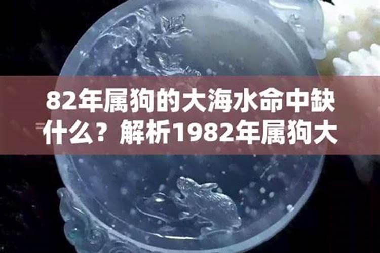 1982年属狗是什么命金木水火土