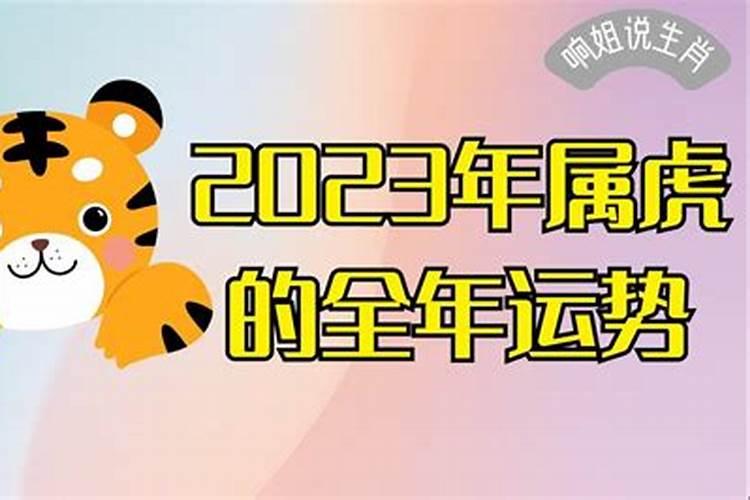 属虎2023年运势98年