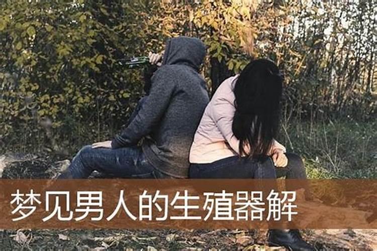 梦到看见男生的根