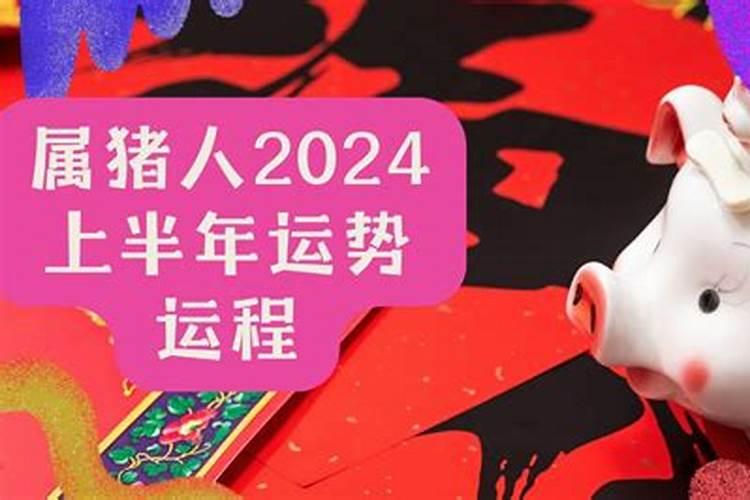 78年属马人2020年运势运程每月运程如何样