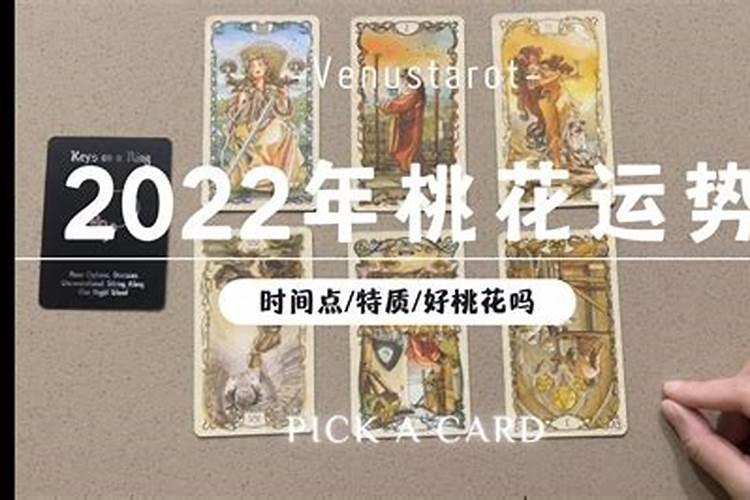 塔罗牌准哭测试2023年运势