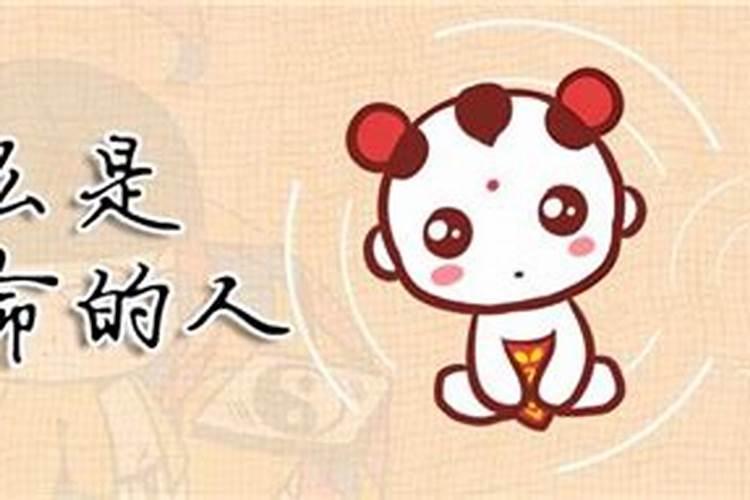 2019年属蛇的全年运势女性运程怎么样