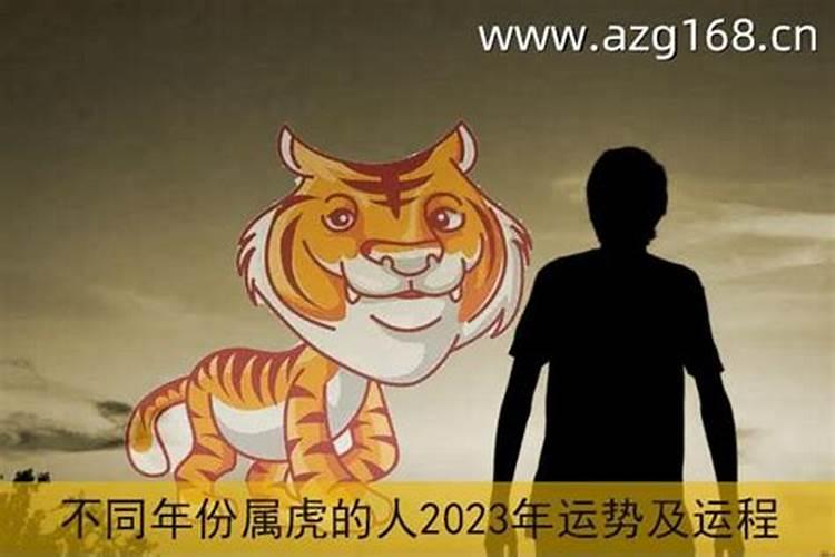 2023年虎年运势