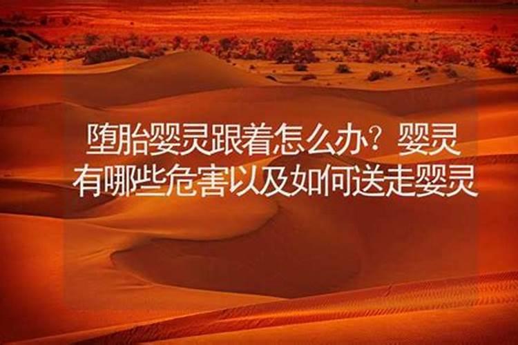 做梦梦见狗流血泪什么意思