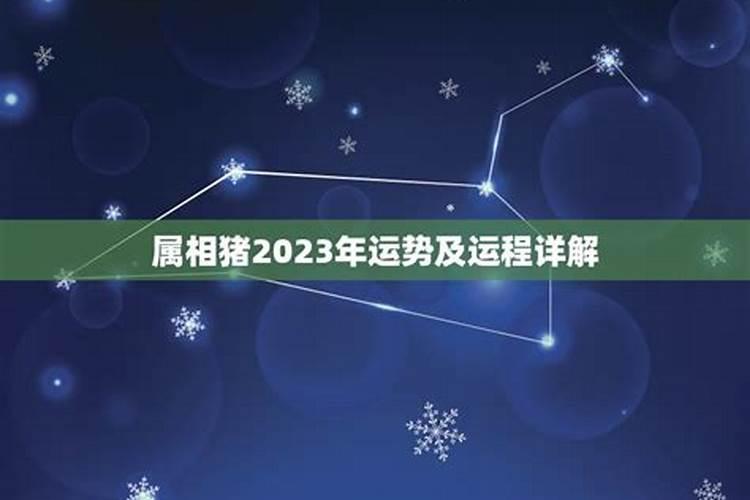 2023年属猪农历二月出生运程