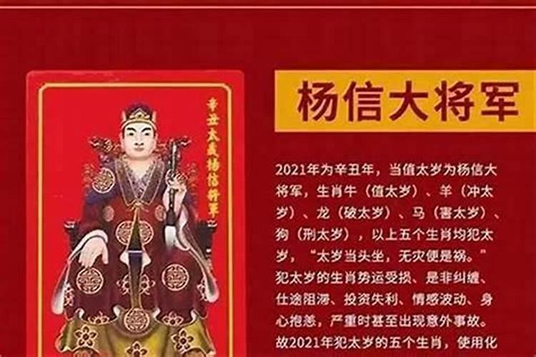 兔子今年犯太岁怎么化解