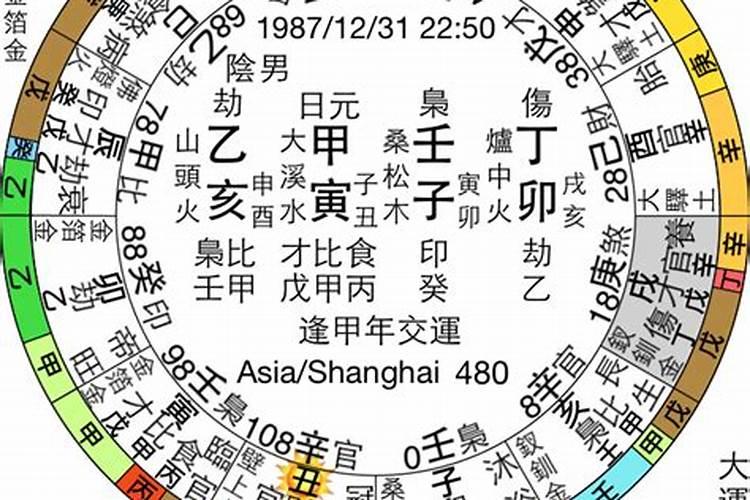 兔年人的2024年运势