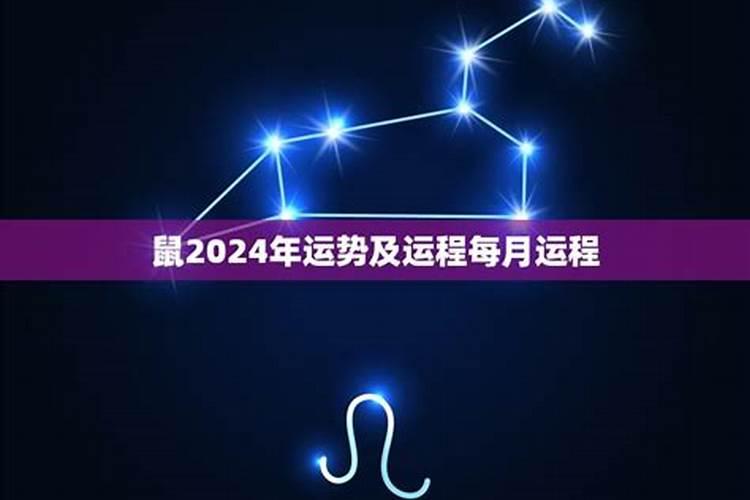 属鼠2024年运势及运程