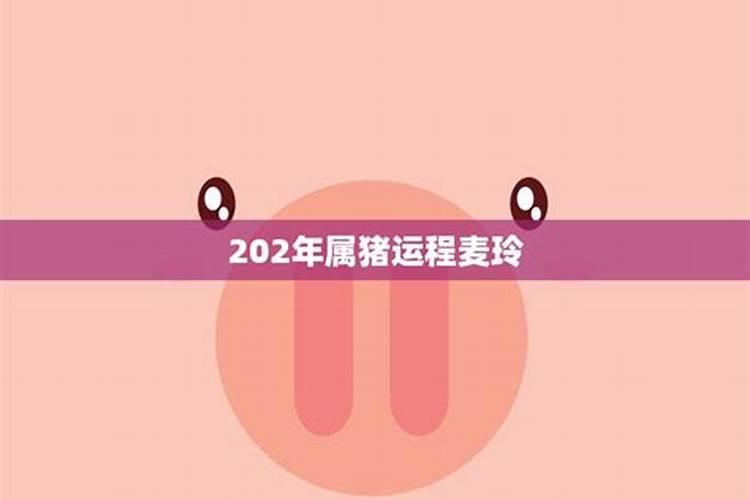 属猪2023年运程麦玲玲