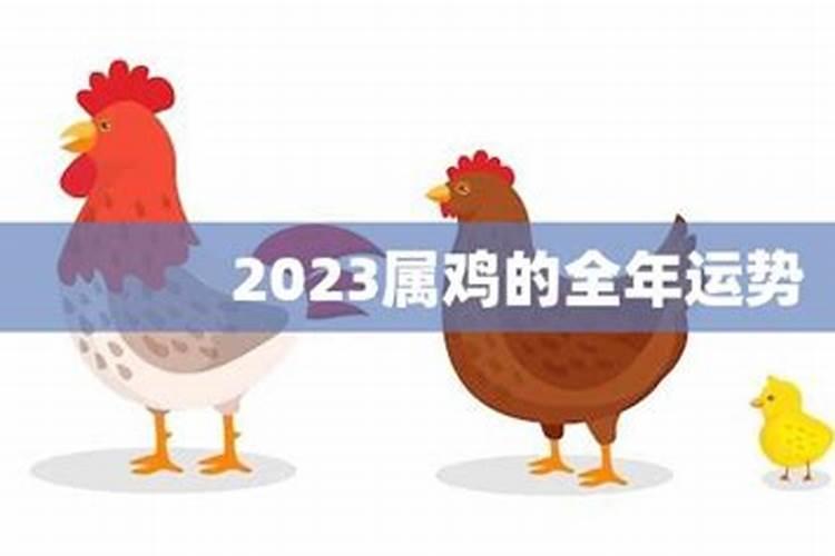 2023属鸡的全年运势和财运