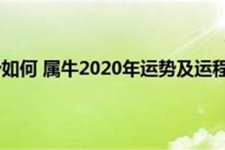 属牛2020年运势完整版