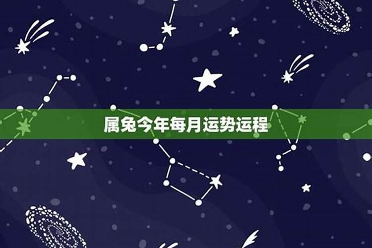 属兔的今年12月运程