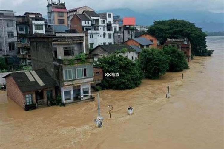 梦见非常大的洪水淹过路面