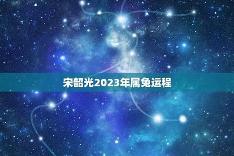 2023年属兔运程