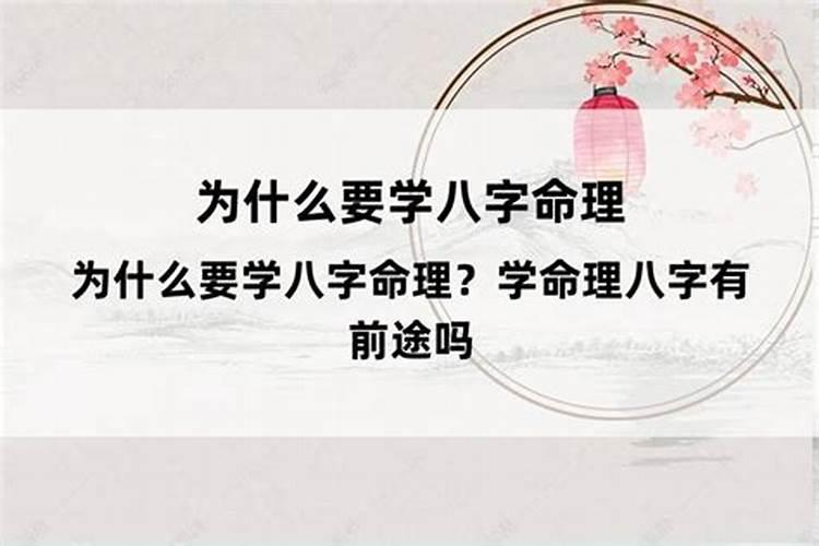 狗在2024年的每月运势如何看