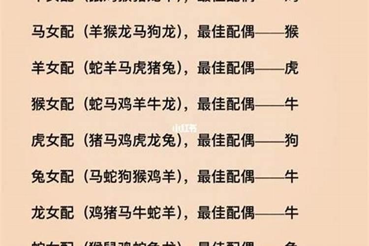 生肖属龙婚配属相怎么样