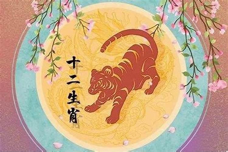 五月的猪命运怎么样