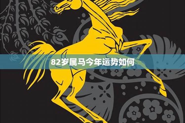 属马今年运势2020