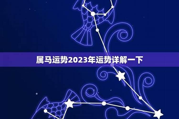 属马1月份的运势2023年运势如何