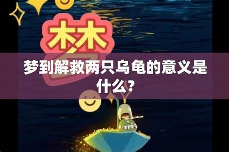 梦见两只乌龟在爬是什么意思呢