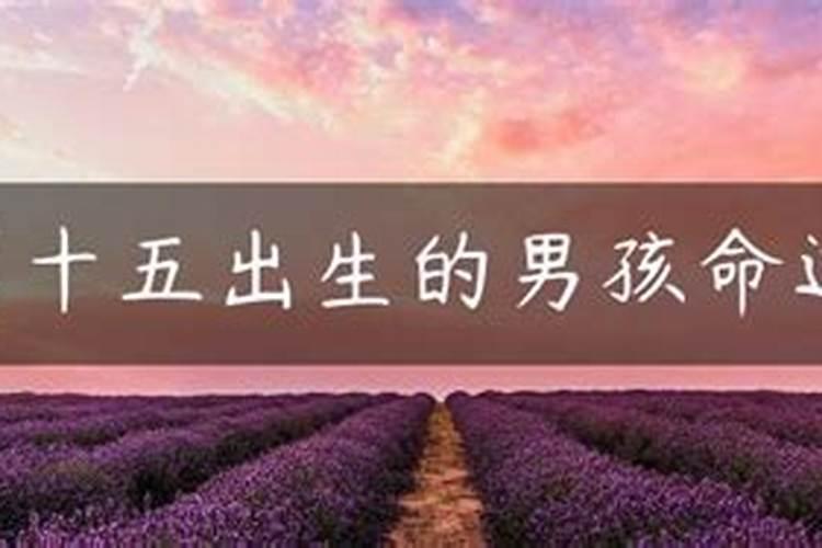 不合不冲的八字好吗