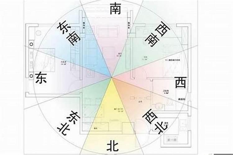 1973年生2024下半年运势如何