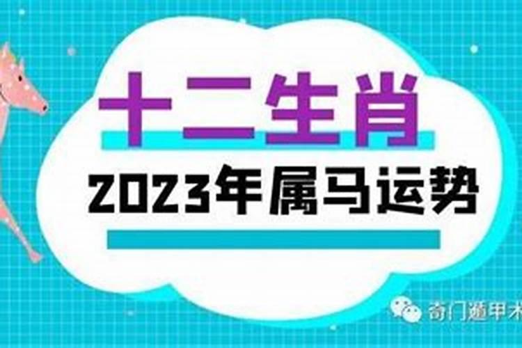 肖马2023年运势