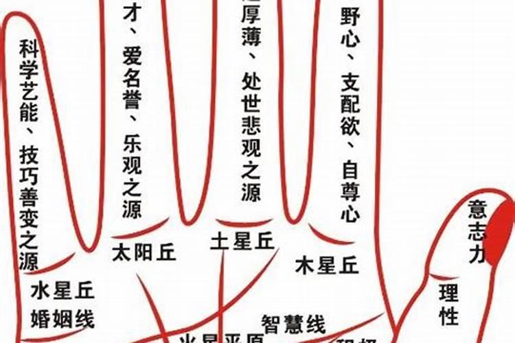 生辰八字对应什么宫位