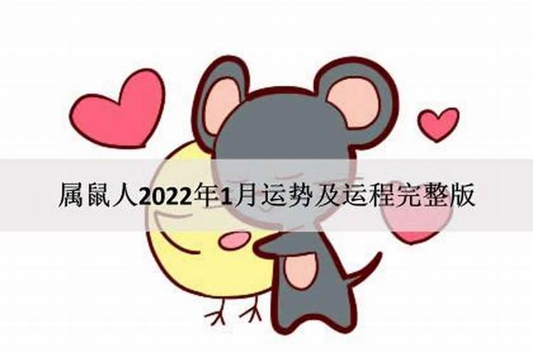 属鼠感情运势2021