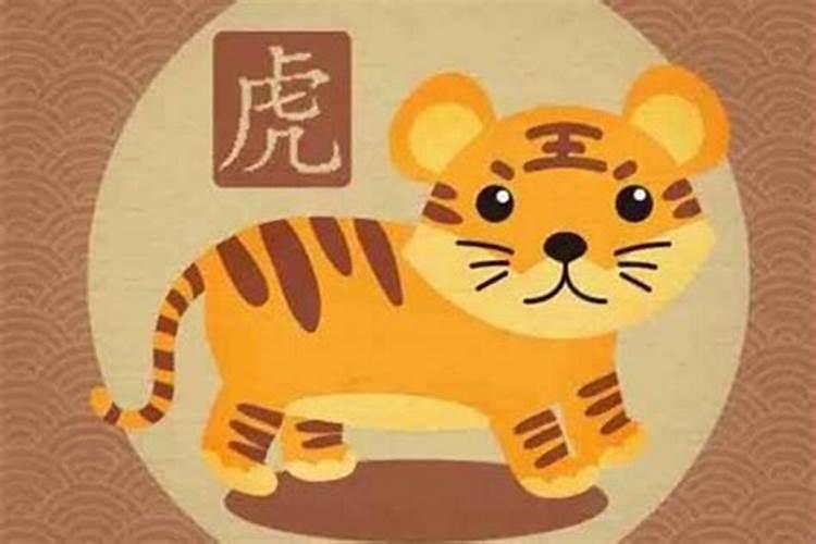 梦见两头大肥猪是什么预兆