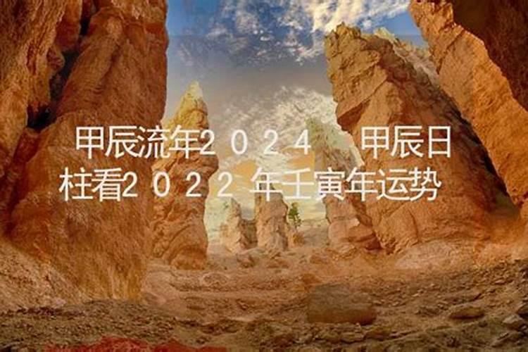 甲寅日柱看2022年壬寅年运势