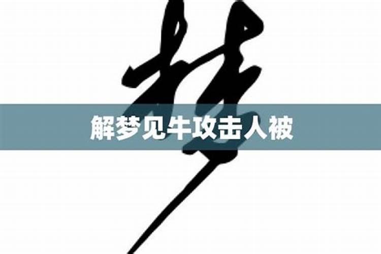 梦见牛攻击自己代表什么