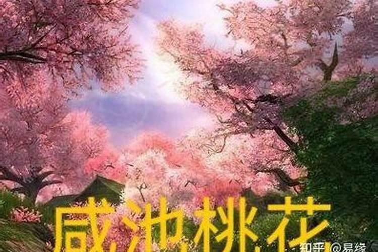 怎么看八字犯桃花煞