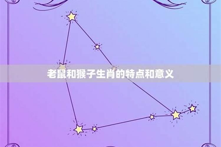 猴和老鼠性格合不合