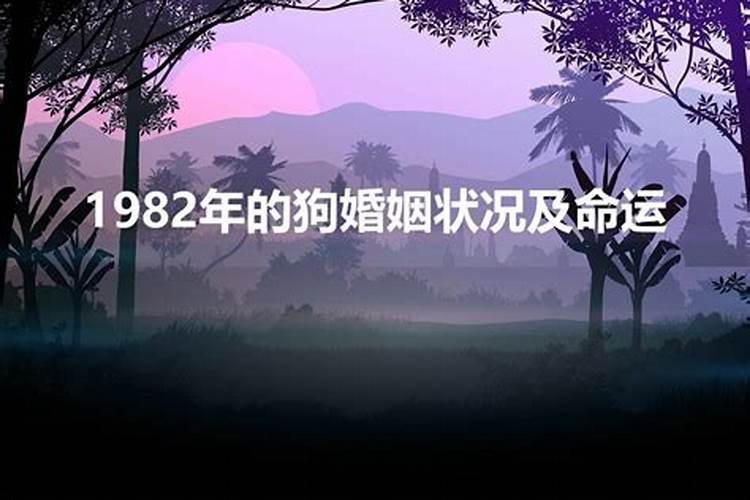 属猴人2024年12月份感情运势如何