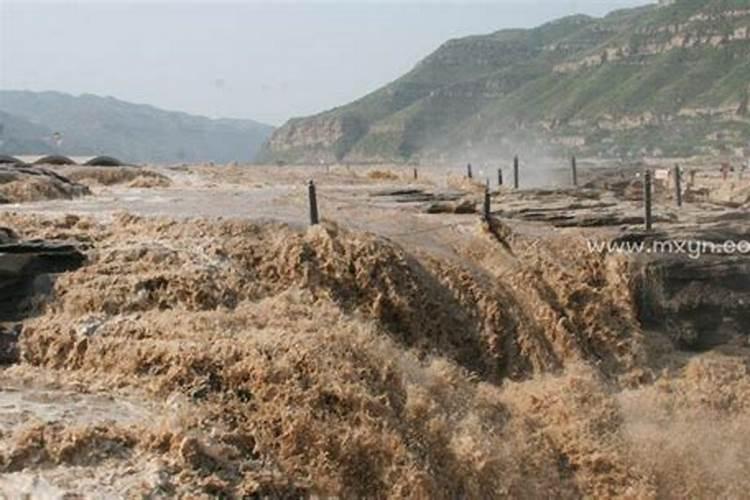 梦见山洪爆发向我涌来,淹没所有生物