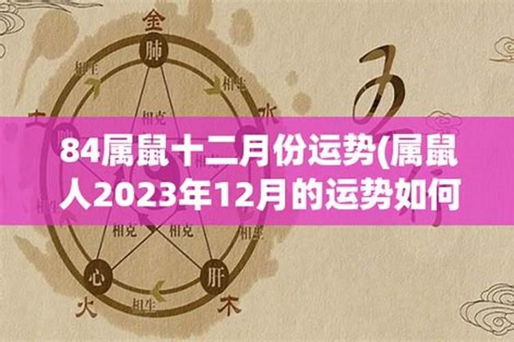 属鼠12月份运势如何2020年