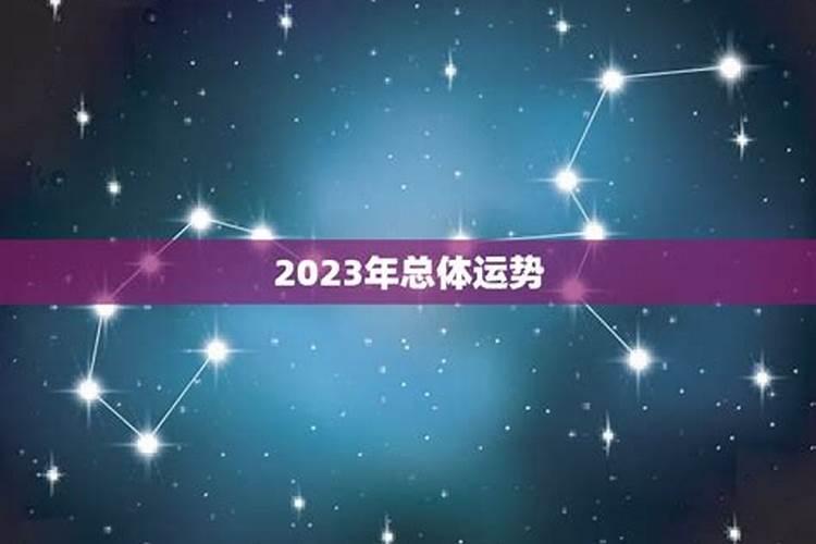 1998年在2023年运势